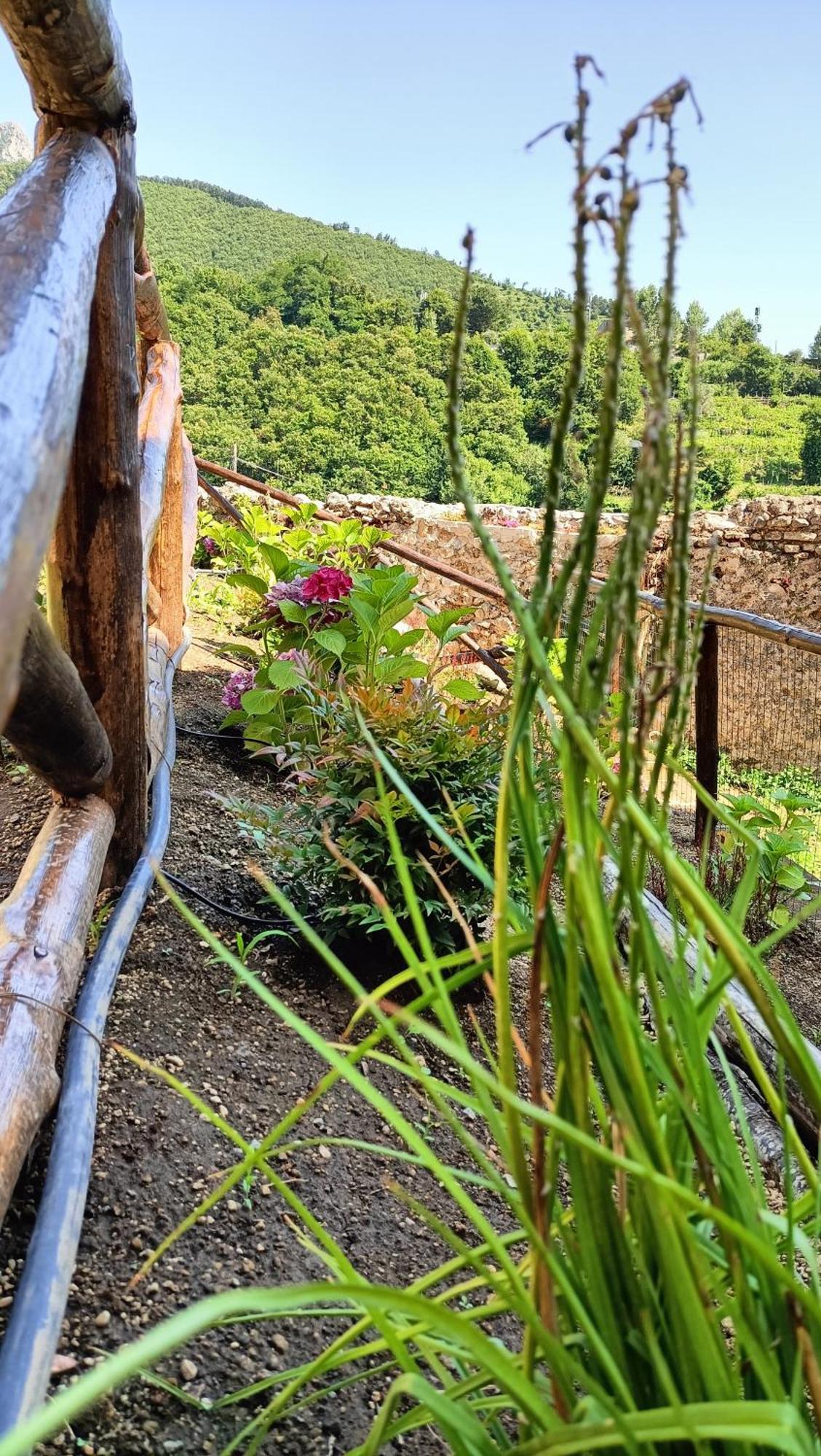 Casale Forno Vecchio Villa Tramonti Dış mekan fotoğraf